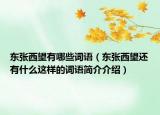 東張西望有哪些詞語（東張西望還有什么這樣的詞語簡介介紹）