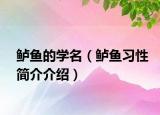 鱸魚的學(xué)名（鱸魚習(xí)性簡(jiǎn)介介紹）