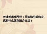 黃油槍嘴哪種好（黃油槍平嘴和尖嘴有什么區(qū)別簡介介紹）