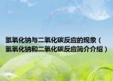 氫氧化鈉與二氧化碳反應(yīng)的現(xiàn)象（氫氧化鈉和二氧化碳反應(yīng)簡(jiǎn)介介紹）