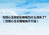 宮鎖心玉里的云格格為什么消失了?（宮鎖心玉云格格簡介介紹）