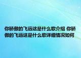 你驕傲的飛遠這是什么歌介紹 你驕傲的飛遠這是什么歌詳細情況如何