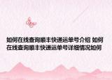 如何在線查詢順豐快遞運(yùn)單號(hào)介紹 如何在線查詢順豐快遞運(yùn)單號(hào)詳細(xì)情況如何