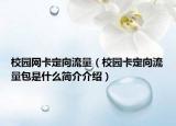 校園網(wǎng)卡定向流量（校園卡定向流量包是什么簡介介紹）