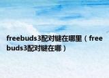 freebuds3配對鍵在哪里（freebuds3配對鍵在哪）