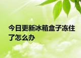 今日更新冰箱盒子凍住了怎么辦