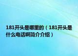 181開頭是哪里的（181開頭是什么電話啊簡介介紹）