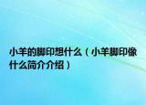 小羊的腳印想什么（小羊腳印像什么簡介介紹）