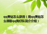 qq黃鉆怎么獲得（用qq黃鉆怎么領(lǐng)取qq狗仔隊簡介介紹）