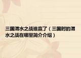 三國渭水之戰(zhàn)誰贏了（三國時的渭水之戰(zhàn)在哪里簡介介紹）