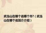 武當山在哪個省哪個市?（武當山在哪個省簡介介紹）