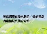黃島哪里有賣電腦的（請(qǐng)問(wèn)黃島有電腦城么簡(jiǎn)介介紹）