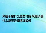 風(fēng)信子是什么意思介紹 風(fēng)信子是什么意思詳細(xì)情況如何