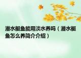潛水艇魚能用淡水養(yǎng)嗎（潛水艇魚怎么養(yǎng)簡介介紹）