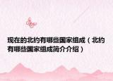 現(xiàn)在的北約有哪些國(guó)家組成（北約有哪些國(guó)家組成簡(jiǎn)介介紹）
