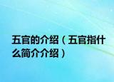 五官的介紹（五官指什么簡介介紹）