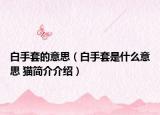 白手套的意思（白手套是什么意思 貓簡介介紹）