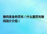 豬肉發(fā)金色熒光（什么是熒光豬肉簡介介紹）