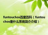 funtouchos百度百科（funtouchos是什么系統(tǒng)簡(jiǎn)介介紹）