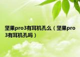 堅果pro3有耳機孔么（堅果pro3有耳機孔嗎）