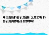 今日更新抖音引流是什么意思呢 抖音引流具體是什么意思呢