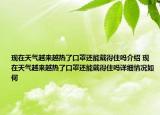 現(xiàn)在天氣越來越熱了口罩還能戴得住嗎介紹 現(xiàn)在天氣越來越熱了口罩還能戴得住嗎詳細(xì)情況如何