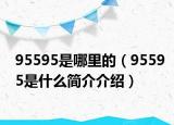 95595是哪里的（95595是什么簡介介紹）