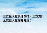 三笠巨人化長什么樣（三笠為什么能巨人化簡介介紹）