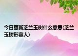 今日更新芝蘭玉樹什么意思(芝蘭玉樹形容人)