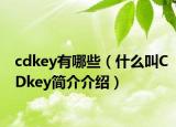 cdkey有哪些（什么叫CDkey簡介介紹）