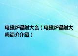 電磁爐輻射大么（電磁爐輻射大嗎簡介介紹）