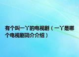 有個(gè)叫一丫的電視?。ㄒ谎臼悄膫€(gè)電視劇簡介介紹）