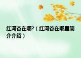 紅河谷在哪?（紅河谷在哪里簡(jiǎn)介介紹）