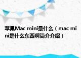 蘋果Mac mini是什么（mac mini是什么東西啊簡(jiǎn)介介紹）