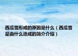 西瓜雪形成的原因是什么（西瓜雪是由什么造成的簡介介紹）