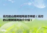 遠方的山楂樹結局是怎樣的（遠方的山楂樹結局簡介介紹）