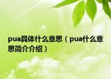 pua具體什么意思（pua什么意思簡介介紹）