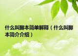 什么叫腳本簡單解釋（什么叫腳本簡介介紹）