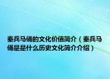 秦兵馬俑的文化價值簡介（秦兵馬俑是是什么歷史文化簡介介紹）