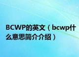 BCWP的英文（bcwp什么意思簡(jiǎn)介介紹）