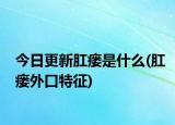 今日更新肛瘺是什么(肛瘺外口特征)