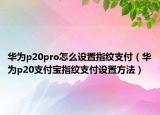 華為p20pro怎么設置指紋支付（華為p20支付寶指紋支付設置方法）