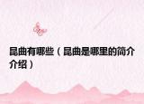 昆曲有哪些（昆曲是哪里的簡介介紹）