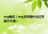 nrg格式（nrg文件用什么打開簡(jiǎn)介介紹）