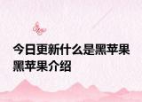 今日更新什么是黑蘋果 黑蘋果介紹