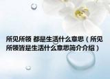 所見所領(lǐng) 都是生活什么意思（所見所領(lǐng)皆是生活什么意思簡介介紹）
