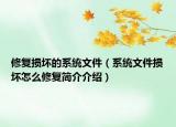 修復(fù)損壞的系統(tǒng)文件（系統(tǒng)文件損壞怎么修復(fù)簡介介紹）