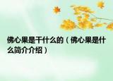 佛心果是干什么的（佛心果是什么簡(jiǎn)介介紹）