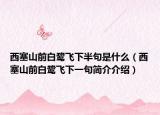 西塞山前白鷺飛下半句是什么（西塞山前白鷺飛下一句簡(jiǎn)介介紹）
