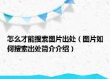 怎么才能搜索圖片出處（圖片如何搜索出處簡(jiǎn)介介紹）